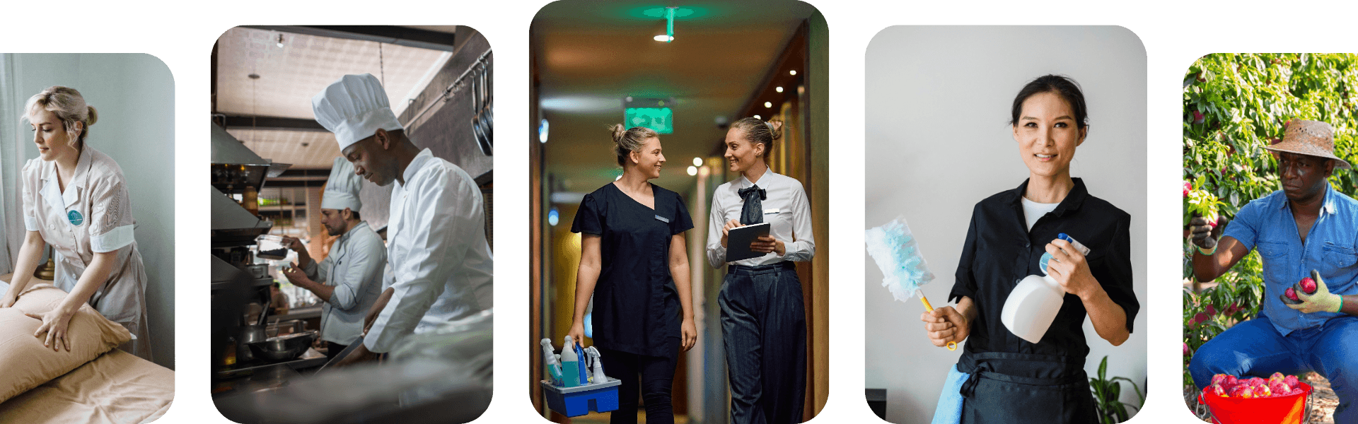 Workers in various sectors